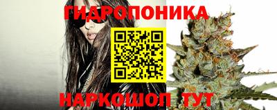 твердый Гай