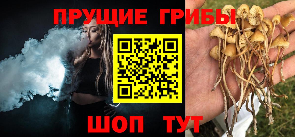 Псилоцибиновые грибы MAGIC MUSHROOMS  Вход с VPN  Заинск 