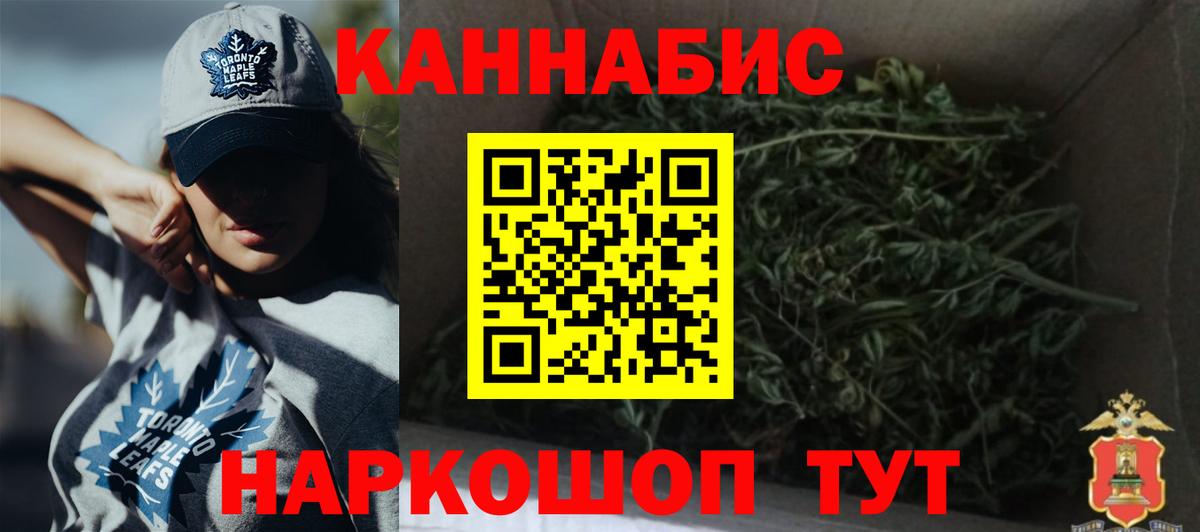 Бошки марихуана планчик  Вход с VPN  Бошки Шишки сатива  Марихуана сатива  Заинск 
